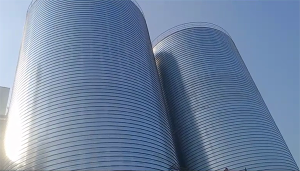 皋兰2座混凝土高架卷板仓